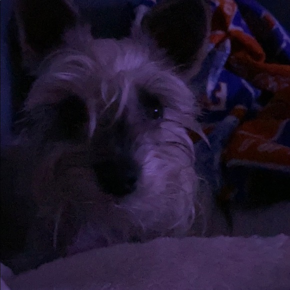 Meet your Posher, Nancy - Picture 1 of 1